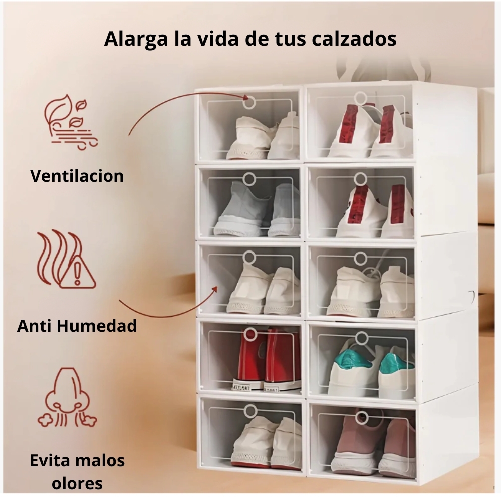 Organizador de Zapatos x6